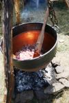 arv2005-Cuisine gauloise.jpg